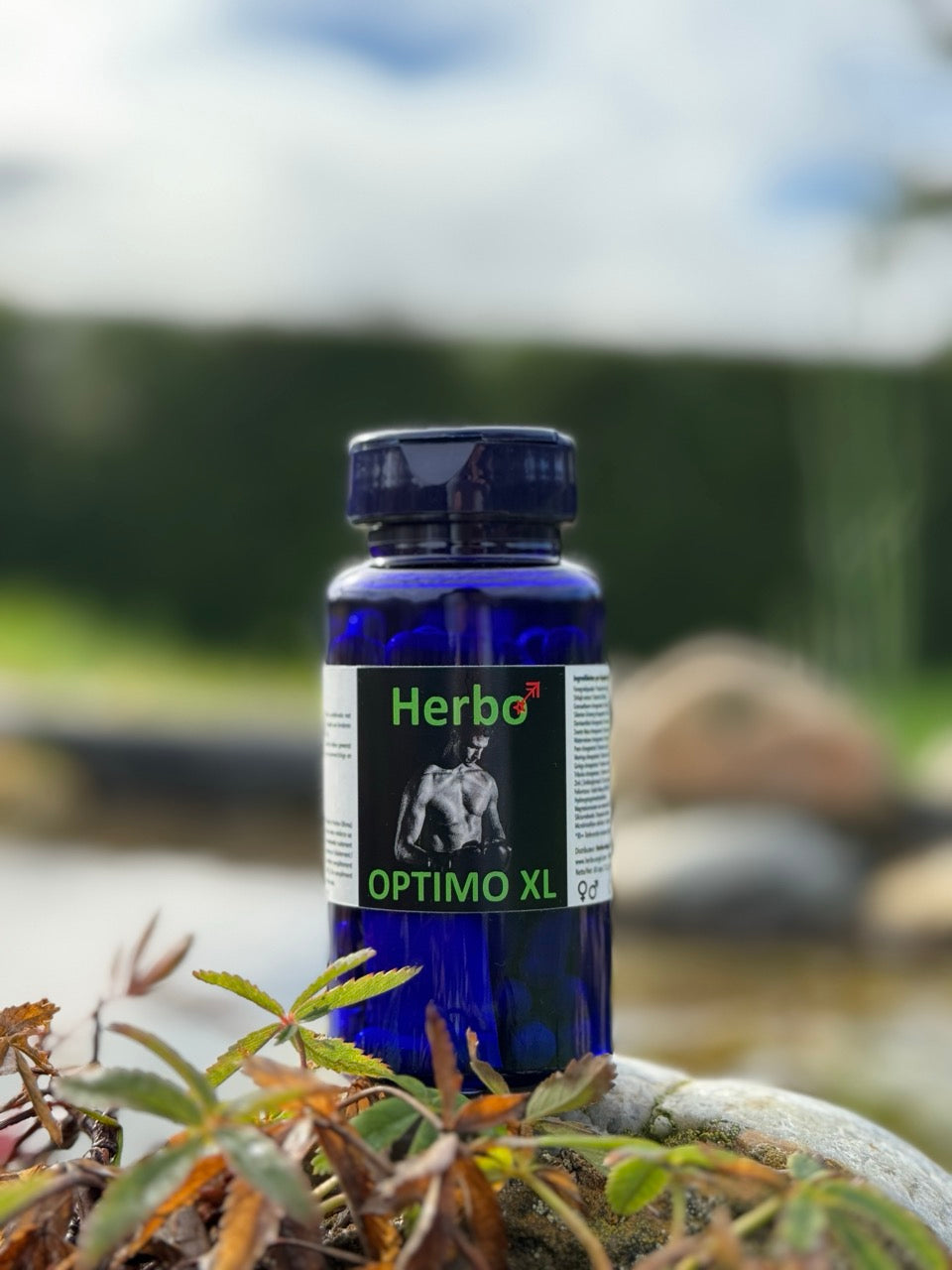 Herbo Angel Optimo XL